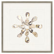 Paragon Oyster Shell I Beige 22 X 22 X 2 Wall Art
