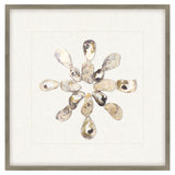 Paragon Oyster Shell I Beige 22 X 22 X 2 Wall Art