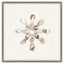 Paragon Oyster Shell I Beige 22 X 22 X 2 Wall Art