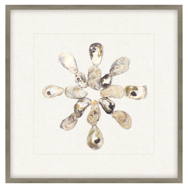 Paragon Oyster Shell I Beige 22 X 22 X 2 Wall Art