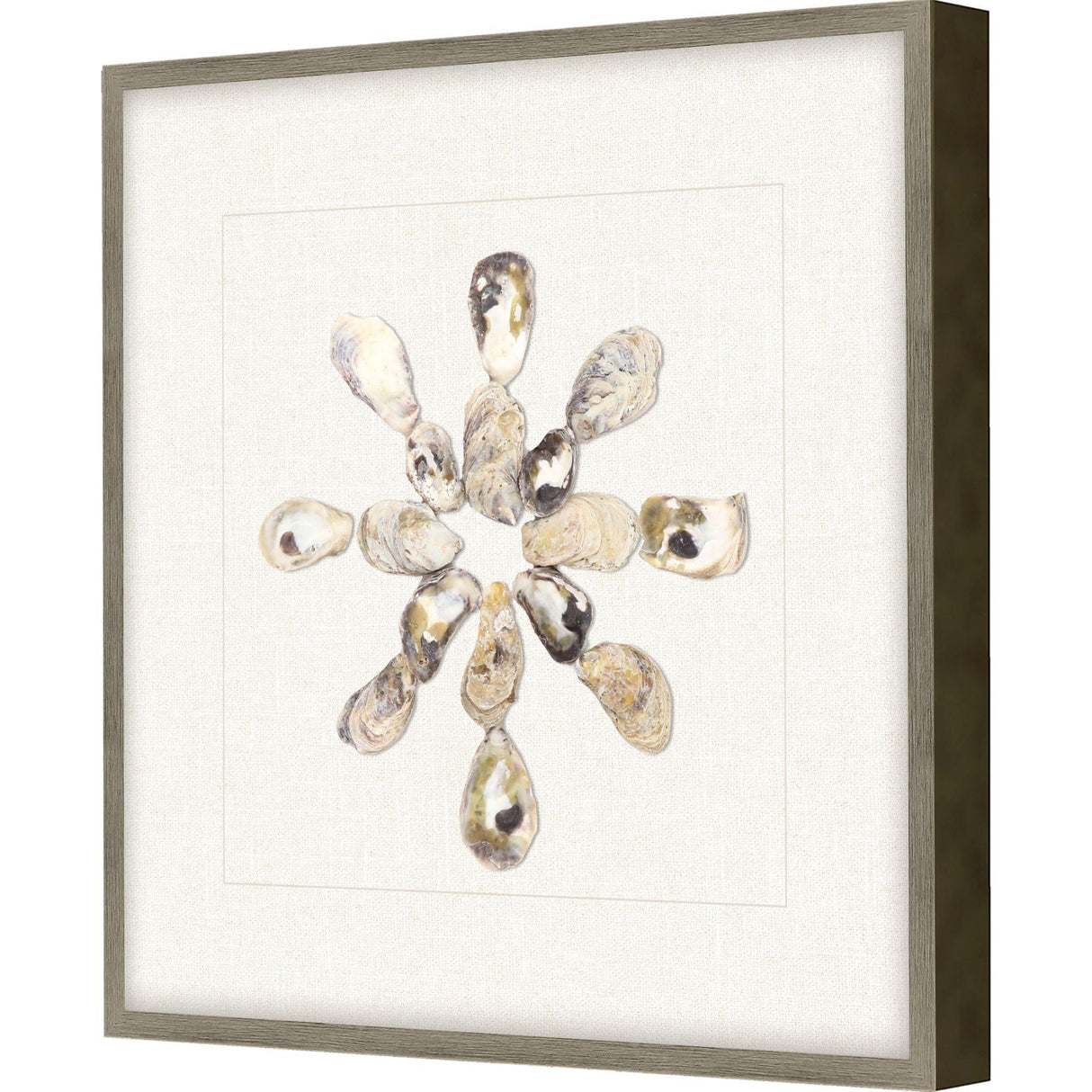 Paragon Oyster Shell I Beige 22 X 22 X 2 Wall Art