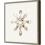 Paragon Oyster Shell I Beige 22 X 22 X 2 Wall Art