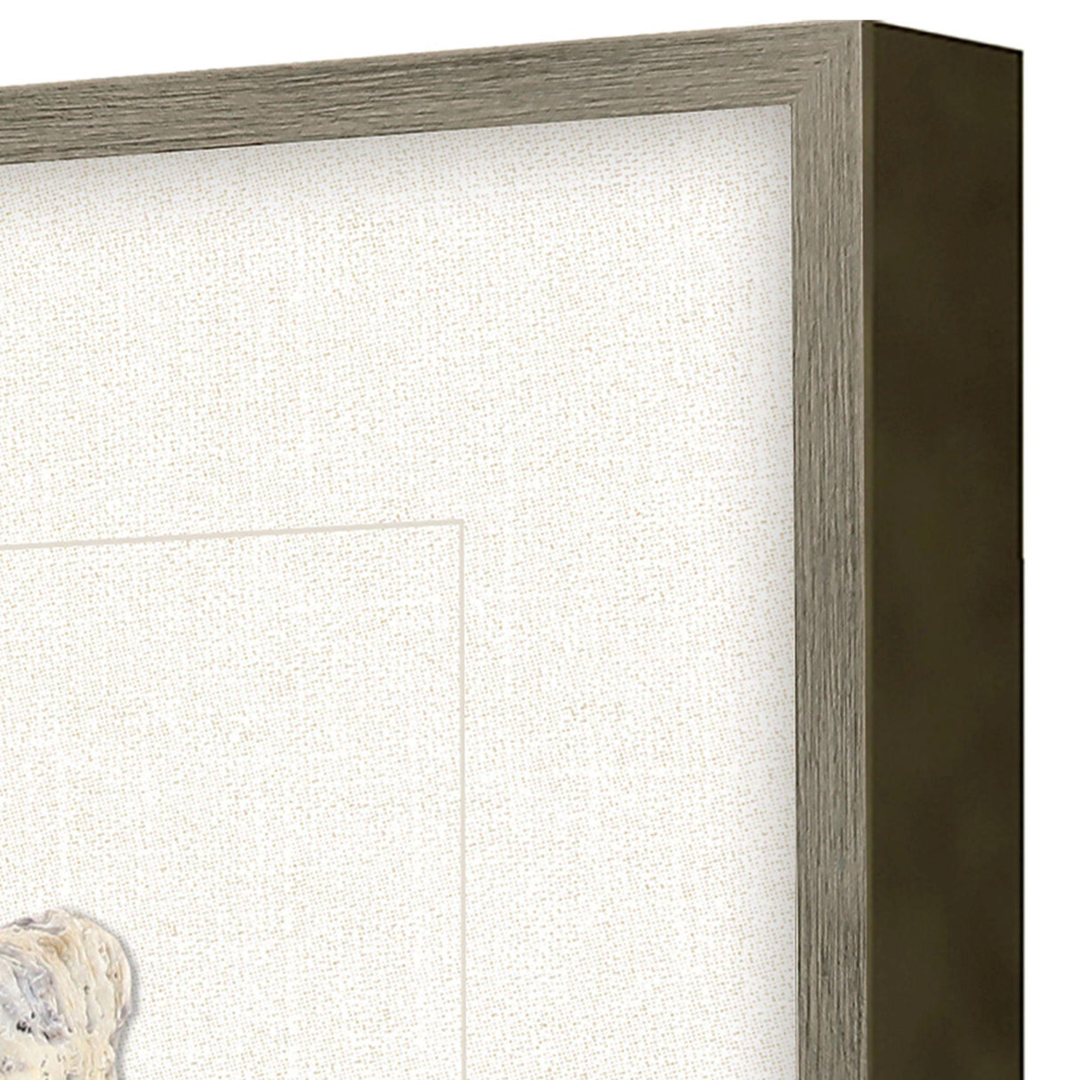 Paragon Oyster Shell I Beige 22 X 22 X 2 Wall Art