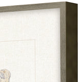 Paragon Oyster Shell I Beige 22 X 22 X 2 Wall Art