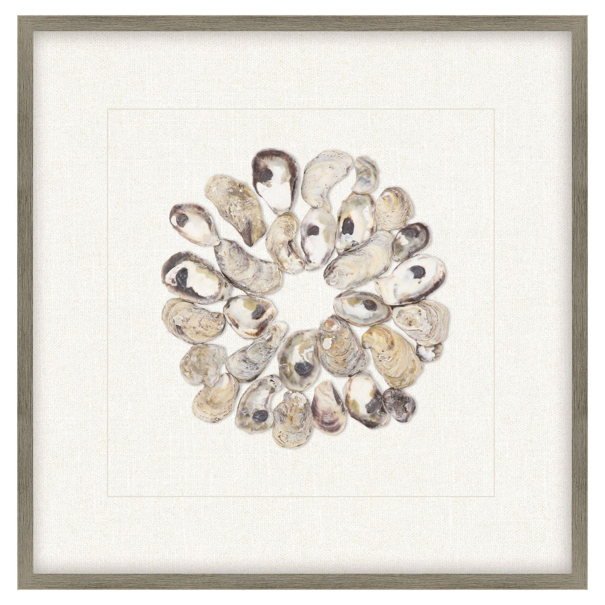 Paragon Oyster Shell II Beige 22 X 22 X 2 Wall Art