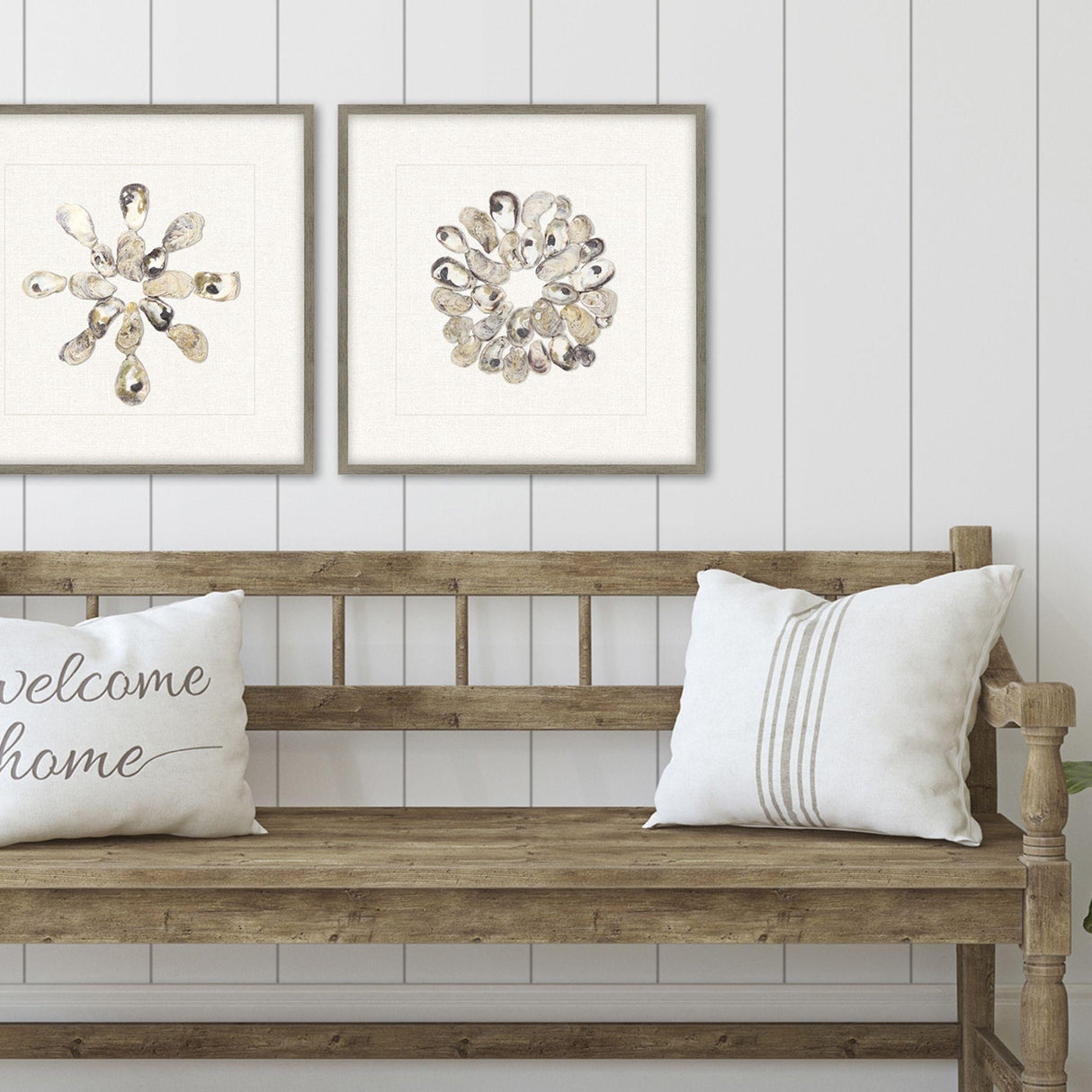 Paragon Oyster Shell II Beige 22 X 22 X 2 Wall Art