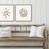 Paragon Oyster Shell II Beige 22 X 22 X 2 Wall Art