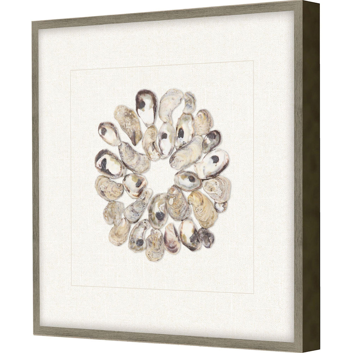 Paragon Oyster Shell II Beige 22 X 22 X 2 Wall Art