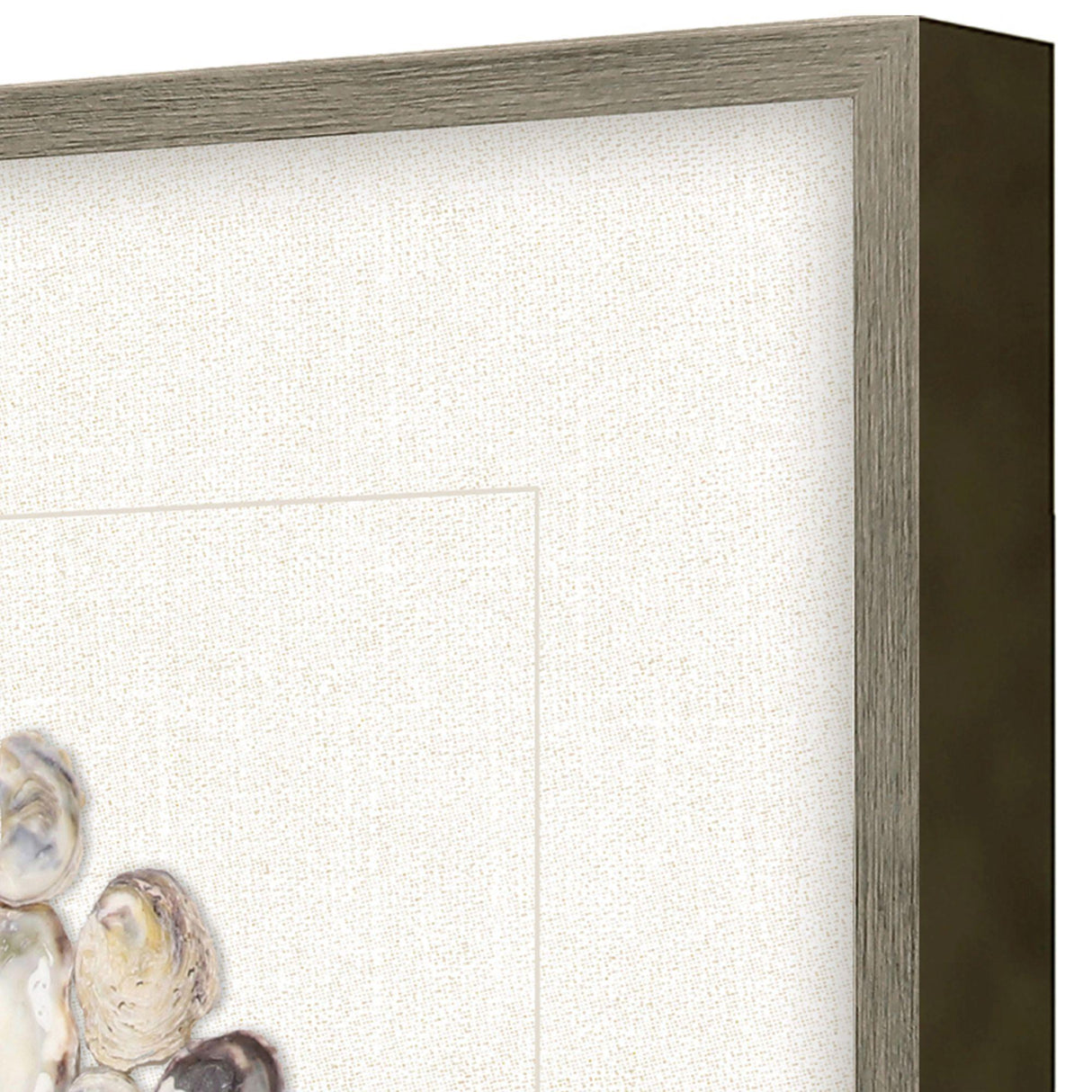Paragon Oyster Shell II Beige 22 X 22 X 2 Wall Art