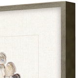 Paragon Oyster Shell II Beige 22 X 22 X 2 Wall Art