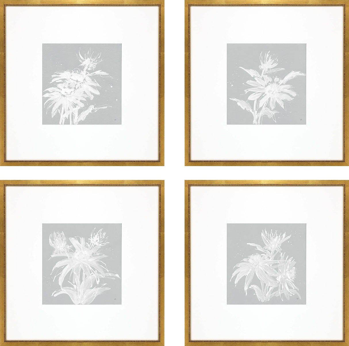 Paragon Echinacea S/4 Blue 20 X 20 X 1 Wall Art