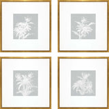 Paragon Echinacea S/4 Blue 20 X 20 X 1 Wall Art