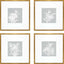 Paragon Echinacea S/4 Blue 20 X 20 X 1 Wall Art