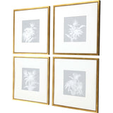Paragon Echinacea S/4 Blue 20 X 20 X 1 Wall Art