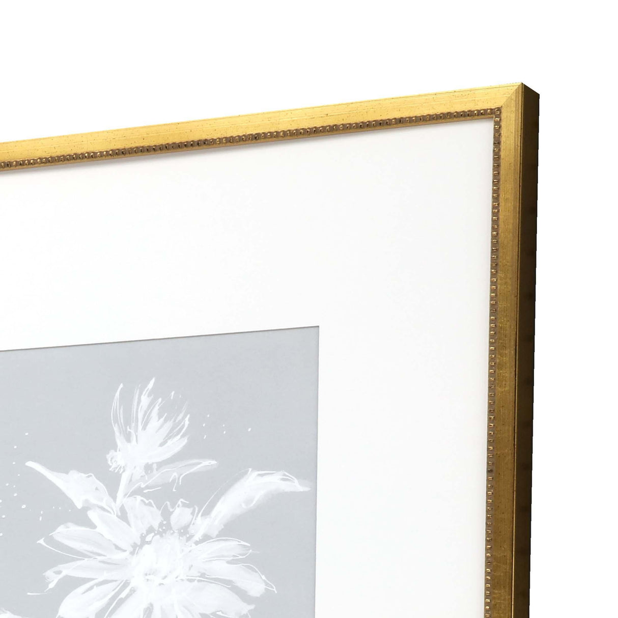 Paragon Echinacea S/4 Blue 20 X 20 X 1 Wall Art