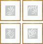 Paragon Leaf Study S/4 Blue 20 X 20 X 1 Wall Art