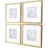Paragon Leaf Study S/4 Blue 20 X 20 X 1 Wall Art