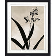 Paragon Dianella Black 41 X 33 X 2 Wall Art