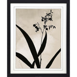 Paragon Dianella Black 41 X 33 X 2 Wall Art