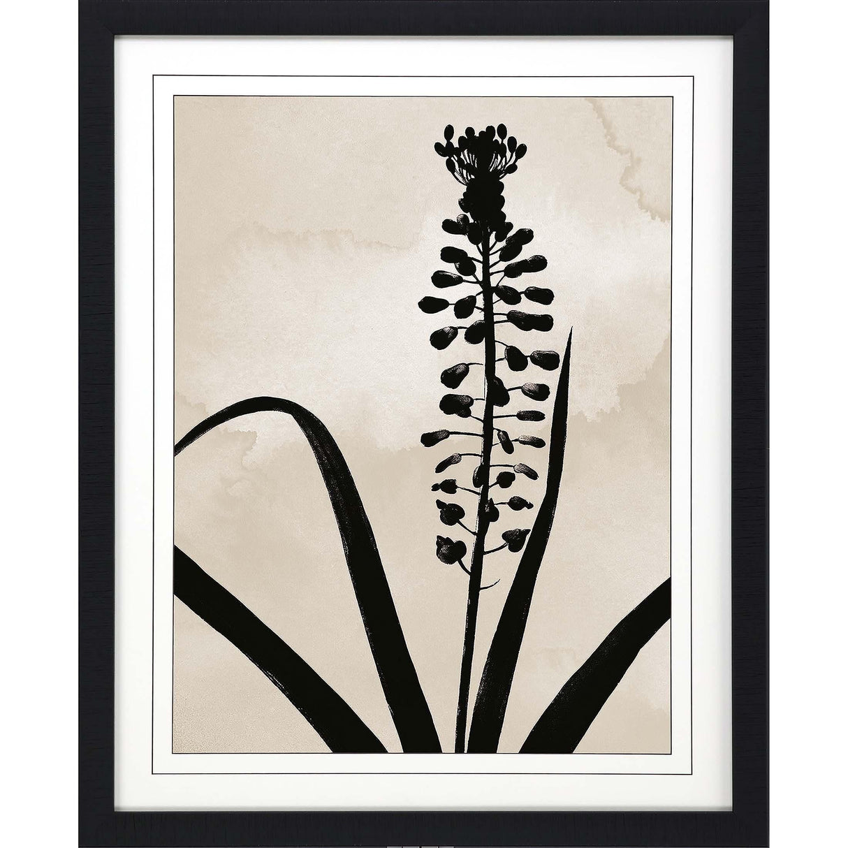 Paragon Muscari Black 41 X 33 X 2 Wall Art