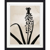 Paragon Muscari Black 41 X 33 X 2 Wall Art