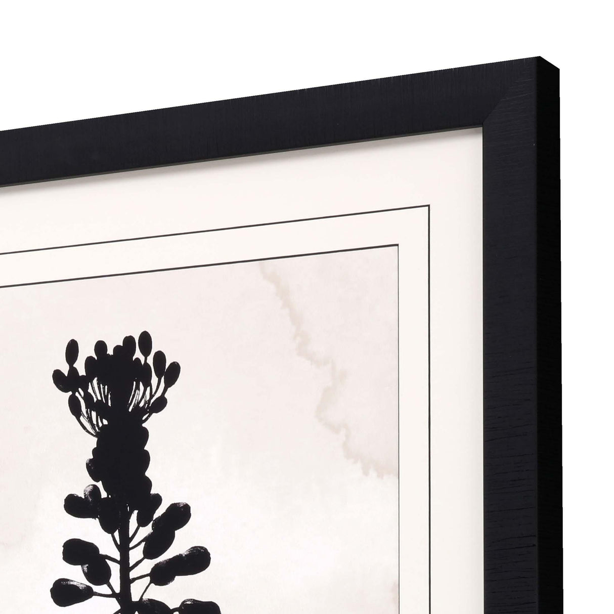 Paragon Muscari Black 41 X 33 X 2 Wall Art