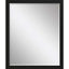 Paragon #869 22 x 28 Beveled Black 31 X 25 X 2 Wall Mirror