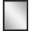 Paragon #869 30 x 40 Beveled Black 43 X 33 X 2 Wall Mirror