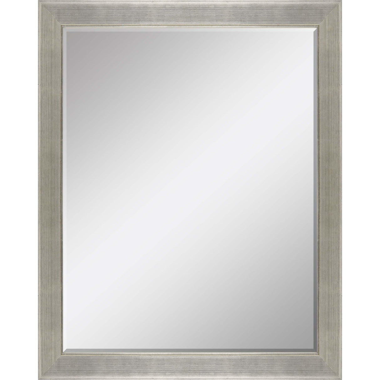 Paragon #864 36 x 48 Beveled Metallic 53 X 41 X 2 Wall Mirror