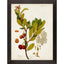 Paragon Antique Greenery III Green 45 X 35 X 2 Wall Art