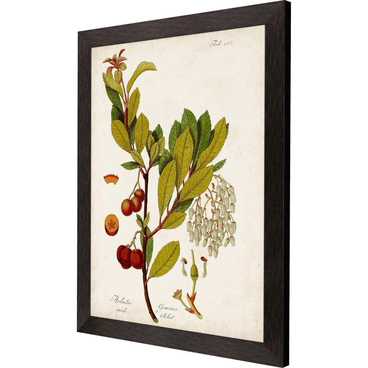 Paragon Antique Greenery III Green 45 X 35 X 2 Wall Art