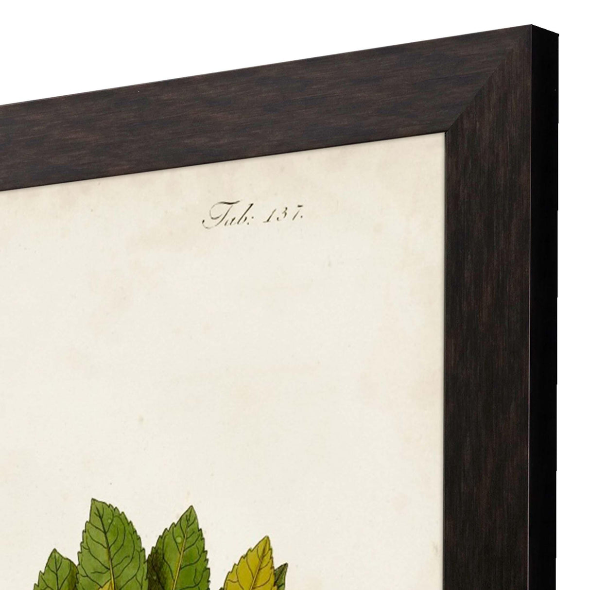 Paragon Antique Greenery III Green 45 X 35 X 2 Wall Art