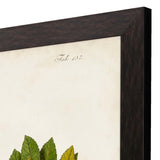 Paragon Antique Greenery III Green 45 X 35 X 2 Wall Art