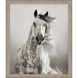 Paragon Caballo de Andaluz Beige 46 X 39 X 2 Wall Art