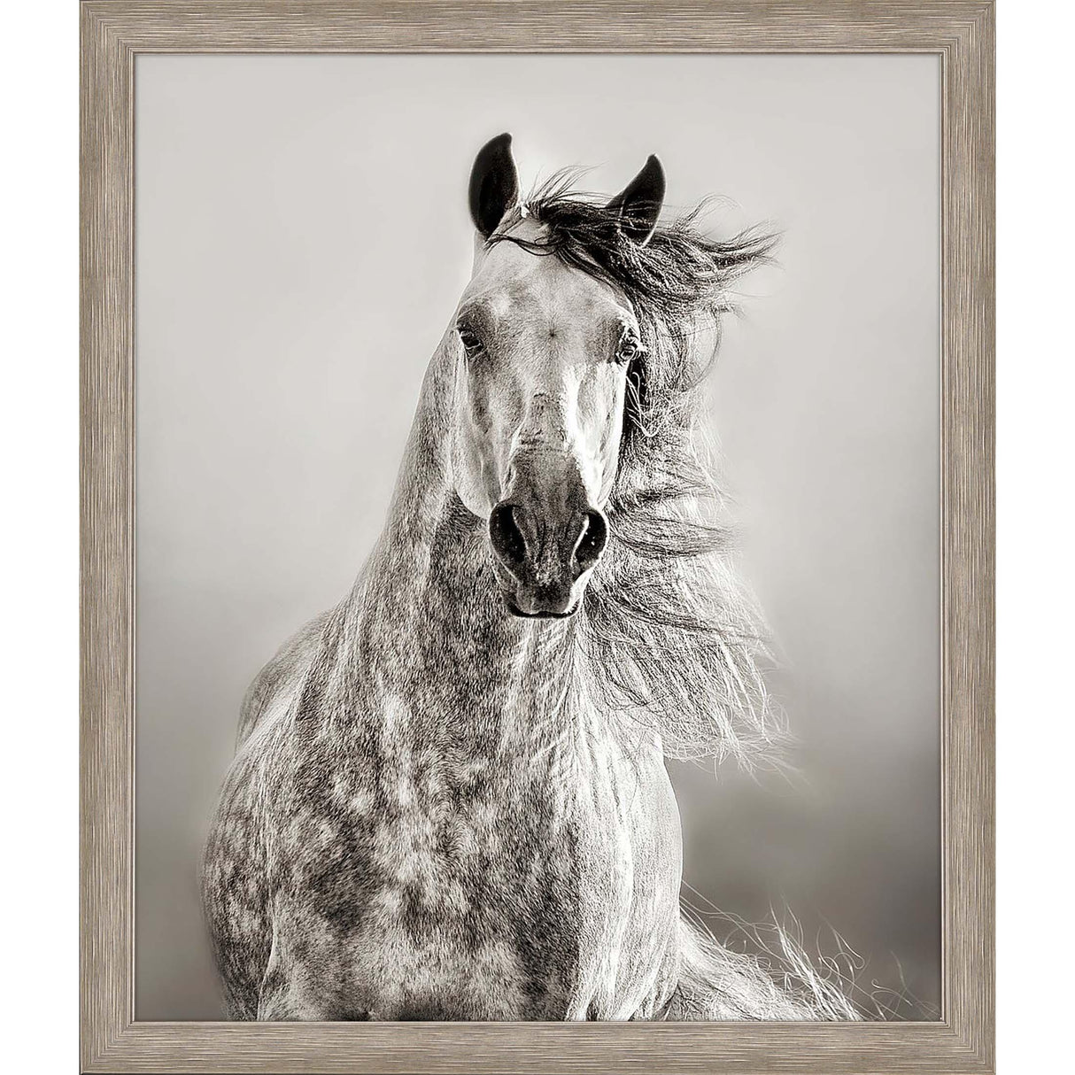 Paragon Caballo de Andaluz Beige 46 X 39 X 2 Wall Art