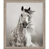Paragon Caballo de Andaluz Beige 46 X 39 X 2 Wall Art