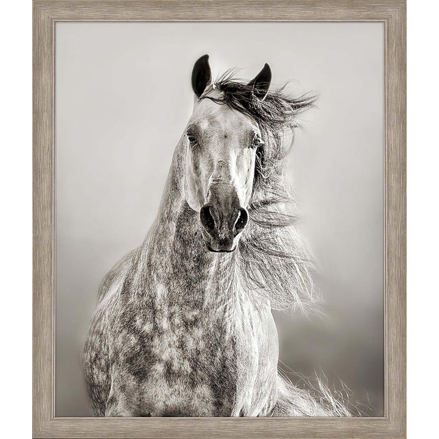 Paragon Caballo de Andaluz Beige 46 X 39 X 2 Wall Art
