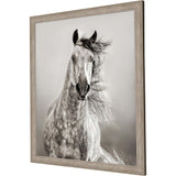 Paragon Caballo de Andaluz Beige 46 X 39 X 2 Wall Art