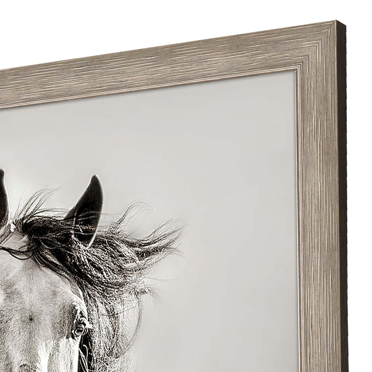Paragon Caballo de Andaluz Beige 46 X 39 X 2 Wall Art