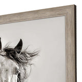 Paragon Caballo de Andaluz Beige 46 X 39 X 2 Wall Art