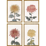 Paragon Chrysanthemum S/4 Green 25 X 17 X 1 Wall Art