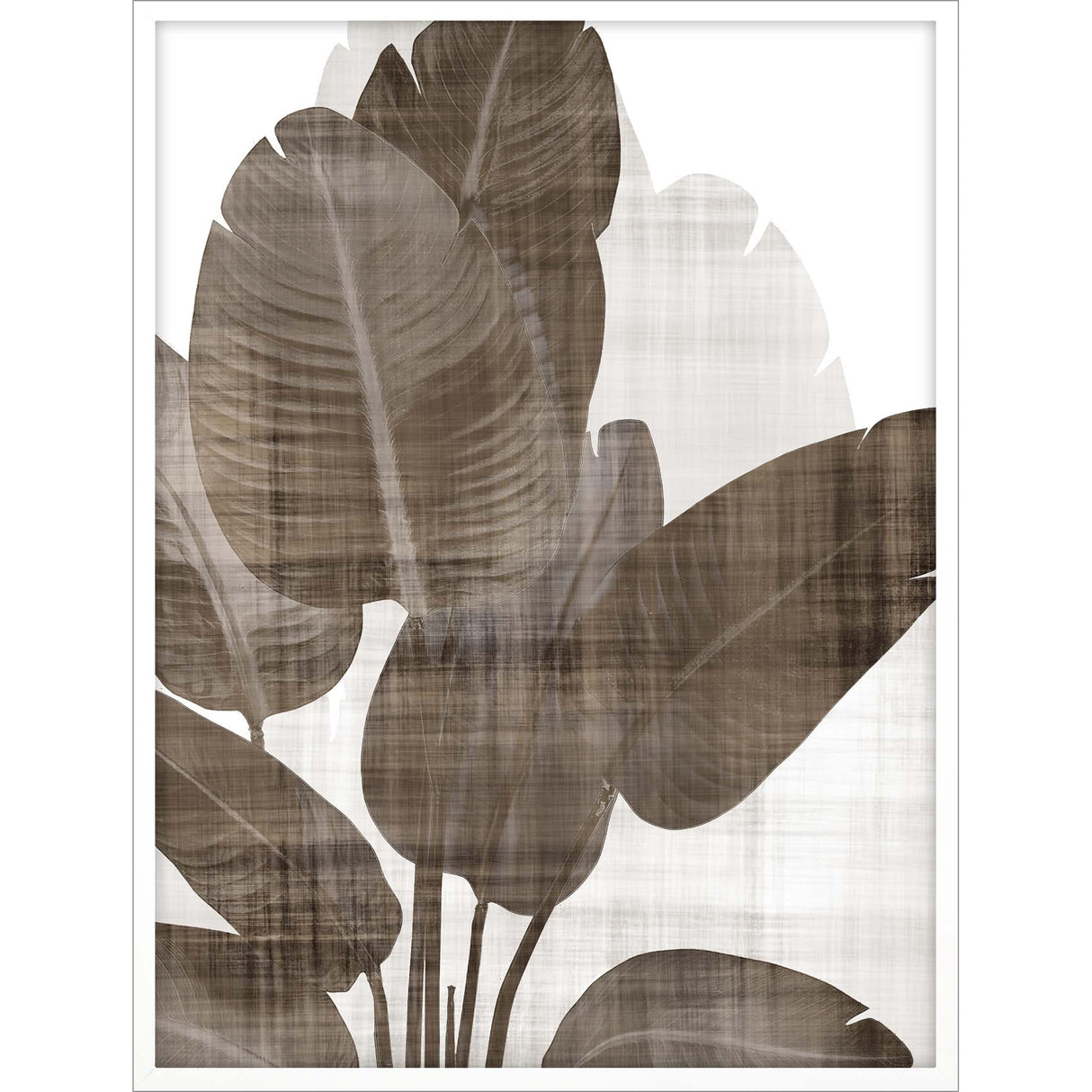 Paragon Earthy Palm I Brown 50 X 38 X 3 Wall Art