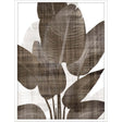 Paragon Earthy Palm II Brown 50 X 38 X 3 Wall Art