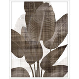 Paragon Earthy Palm II Brown 50 X 38 X 3 Wall Art