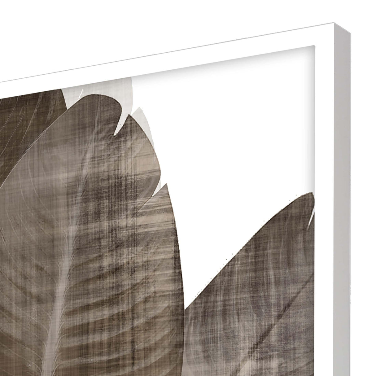 Paragon Earthy Palm II Brown 50 X 38 X 3 Wall Art