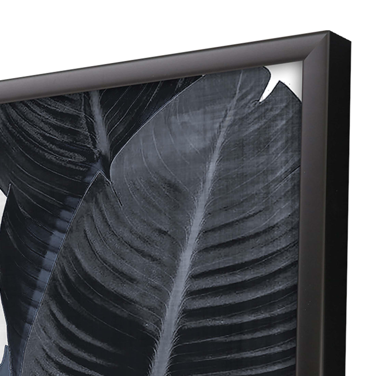 Paragon Palm Noir I Blue 50 X 38 X 3 Wall Art