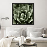 Paragon Green Succulent II Green 35 X 35 X 2 Wall Art