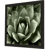 Paragon Green Succulent II Green 35 X 35 X 2 Wall Art