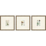 Paragon Antique Botanical I S/3 Green 13 X 13 X 1 Wall Art
