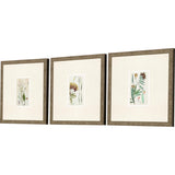 Paragon Antique Botanical I S/3 Green 13 X 13 X 1 Wall Art